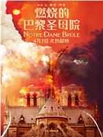 燃烧的巴黎圣母院在线观看和下载