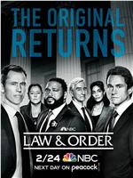 法律与秩序 第二十一季在线观看和下载