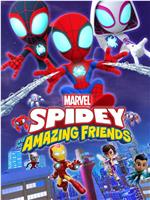 蜘蛛侠与他的神奇朋友们 第二季在线观看和下载
