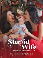 Stupid Wife - Especial de Natal在线观看和下载