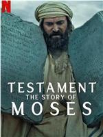 圣约之外：摩西的故事在线观看和下载